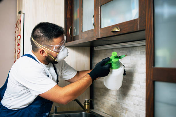 Best Pest Prevention Services  in Sleepy Eye, MN